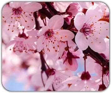 Yanteng Fait Rose Clair Fleurs Lumineuses Fleur De Cerisier