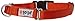 GOGO Pet Products 5/8-Inch Martingale Dog Collar, Small, Orange