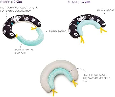 taf toys 2 in 1 tummy time pillow