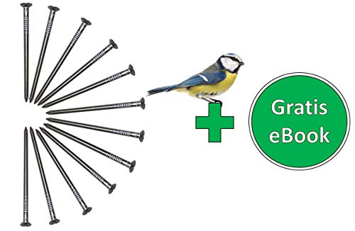 Gardemics Aluminium Nägel für Nistkästen & Futterhäuser - Perfekt für eine baumfreundliche und ungefährlicher… – Bild 3