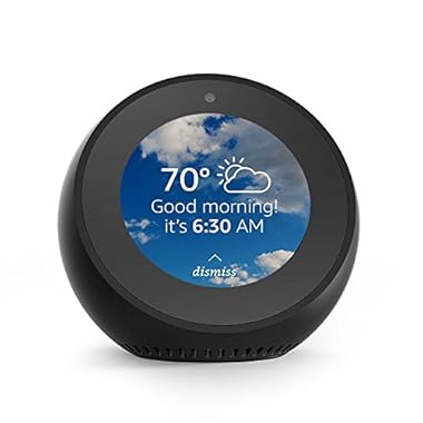Introducing Echo Spot