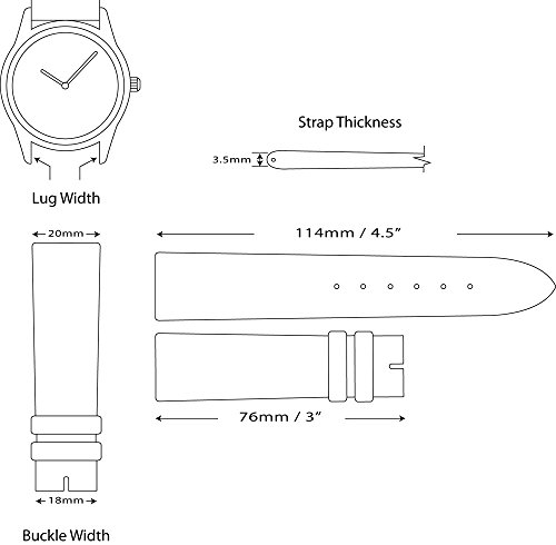 Coach Leather Watch Band (Silver & Gold Buckle) - Black 20mm