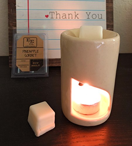 image for E and E Company 100% All Natural Scented Soy Wax Melts (2 Pack) by E&E