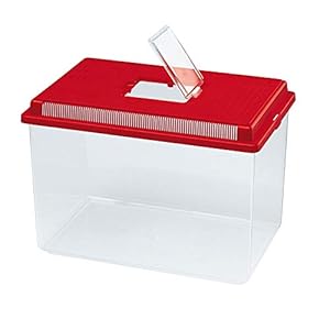 Ferplast-Plastic-Container-for-Small-Animals-GEO-EXTRA-LARGE-Aquarium-Tank-11-L-for-Fishes-Terrarium-Turtles-Insects-Sturdy-Plastic-Ventilation-Grills-356-x-234-x-h-228-cm-Red Ferplast Plastic Container for Small Animals GEO EXTRA LARGE Aquarium Tank 11 L for Fishes Terrarium Turtles Insects…