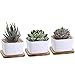 Winlyn 3.3 Inch White Ceramic Contemporary Square Design Succulent Plant Pot/Cactus Plant Pot with Bamboo Tray - Pack of 3