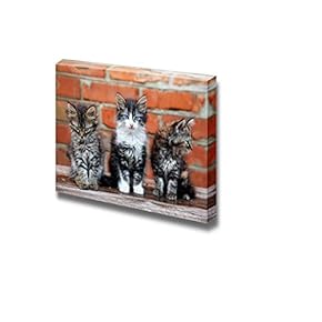 Three Kittens on Bricks Background Cute Pet Animal...
