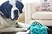 Outward Hound Squeakimals Plush Dog Toy