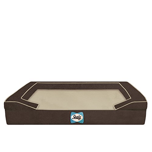 Best Dog Trundle Beds Reviewed [2021 May]