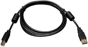 Tripp Lite USB 2.0 Hi-Speed A/B Cable with Ferrite Chokes (M/M) 6-ft. (U023-006), Black