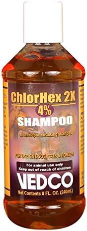 Antiseptic Pet Shampoo ChlorHex 2X Chlorhexidine Gluconate 4% (8 oz)