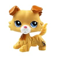 Sonmer Brown Rare Littlest Pet Short Hair Cat Heart Face Cat