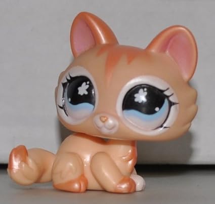 central bearded dragon care