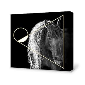 Canvas Wall Art-Black and White Horse-Canvas Prints Home Artwork Decoration for Living Room,Bedroom - 12x12 inches