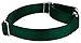 Country Brook Petz Martingale Dog Collar - Heavy-Duty Training Collar with No Buckle - Service Dog Collar for All Pups - Vibrant, Colorful Collection (Green, 1 Inch, Medium)