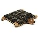 Outward Hound  Matz 16-Squeaker Plush Toy, Hedgehog