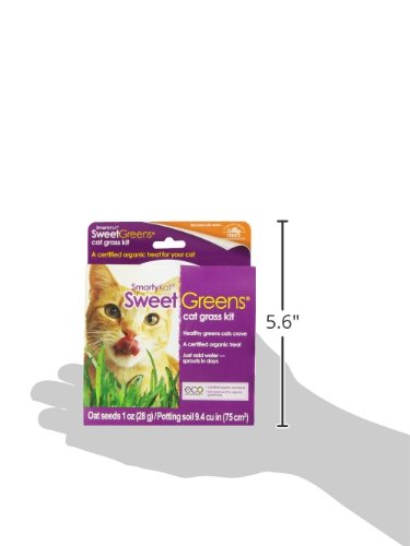 SmartyKat Sweet Greens Cat Grass Kit- 1 Oz