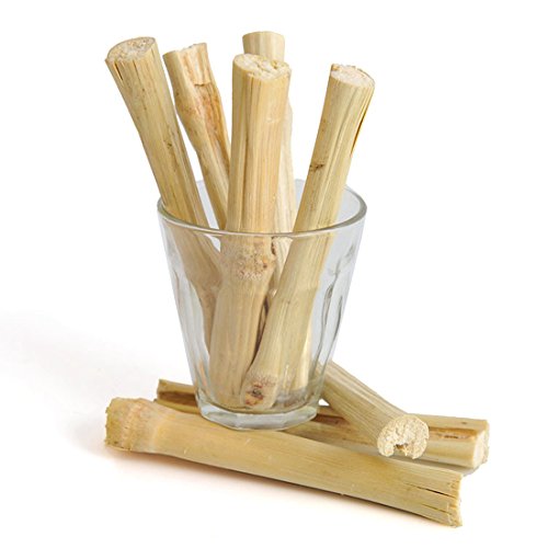 Bwogue 100g Pet Snacks Sweet Bamboo Chew Toy for Squirrel Rabbits Guinea Pigs Chinchilla Hamster (About 10-14 Sticks)