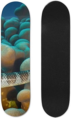 Snakes Vogue Double Warped Skateboard Deluxe Longboard Skate Boards