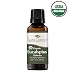 Plant Therapy Eucalyptus Globulus Organic Essential Oil | 100% Pure, USDA Certified Organic, Undiluted, Natural Aromatherapy, Therapeutic Grade | 30 Milliliter (1 Ounce) primary