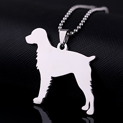 Big Size Stainless Steel Brittany Spaniel Epagneul Breton American Brittany Pet Dog Tag Breed Collar Charm Pendant Necklace
