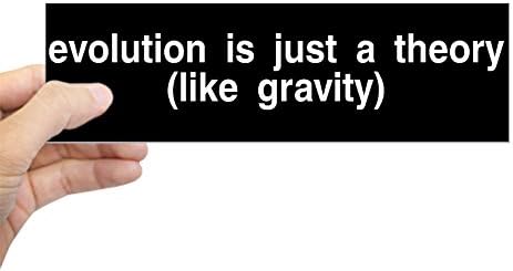 CafePress - Evolution is a theory Bumper Sticker - 10"x3" Rectangle Bumper Sticker Car Decal