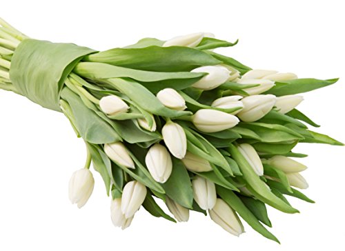 Farm2Door: 30 White Tulips Fresh from Holland - Farm Direct Wholesale Fresh Flowers - Thumbnail 3