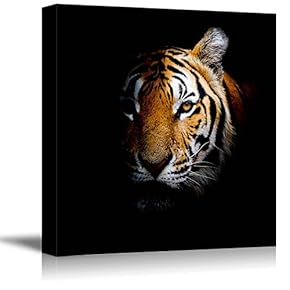 Tiger Head On Black Background - Canvas Art