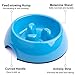 SUPERDESIGN Slow Feeder Dog Bowl Cat Bowl 1/2 Cup Slow Feeding Dog Bowl for Small Medium Breed Anti Gulping Healthy Eating Interactive Bloat Stop Fun Alternative Non Slip Puzzle Dog Food Bowl, Blue
