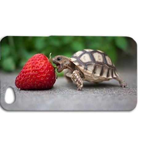 Deco Fairy Funny Turtle Eating A Strawberry Silicone Rubber Case Cover For Apple Iphone 5 5s Amazon In Electronics