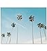 Palm Tree Print Palm Tree Photography Palm Tree Art Print Tropical Leaf Print Tropical Wall Print Palm Tree Wall Art California Print California Art Tropical Wall Art Blue 8 x 10 Unframed