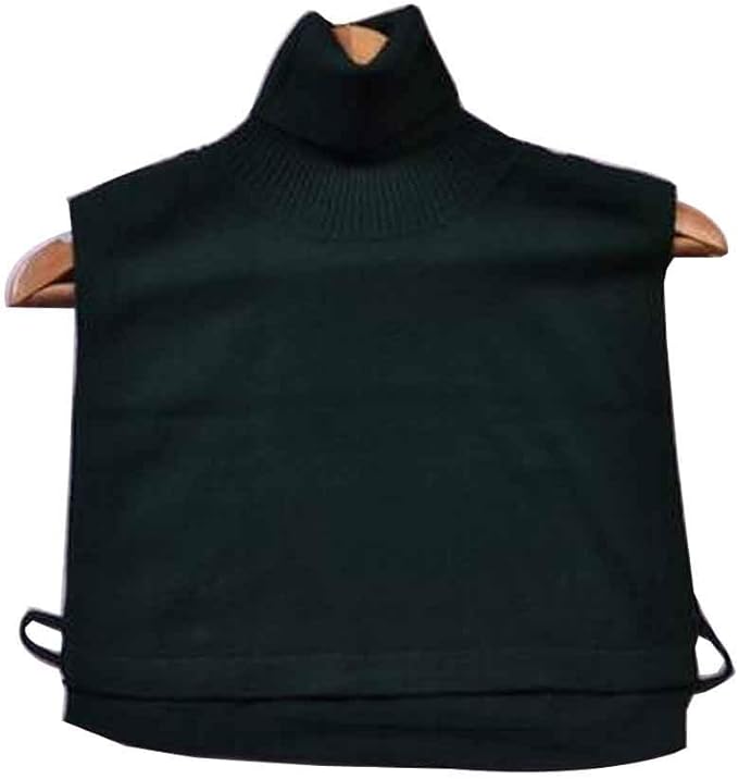 fake collar turtleneck