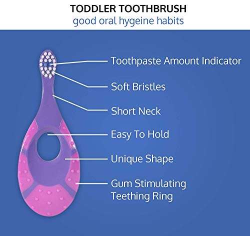 Baby/Toddler Small Teether Toothbrushes 4-Pack, Oral Hygiene, Purple and Pink