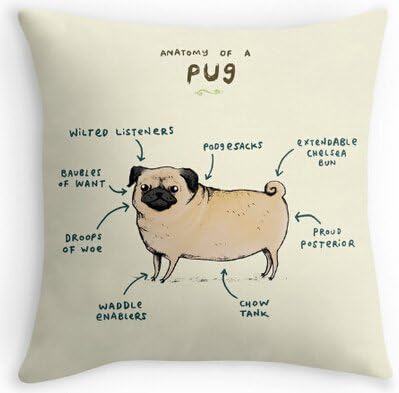 CCTUSGSH Funny Anatomy Of A Pug Cute Puppy Cotton Throw Pillow Case Cushion Cover 18 X 18 Inches One Side