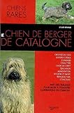 BERGER DE CATALOGNE (CHIENS) by