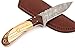 W Trading Custom hand made damascus steel blade gorgeous hunting knife with leather pouch. (2708) skinning knives for men best gift