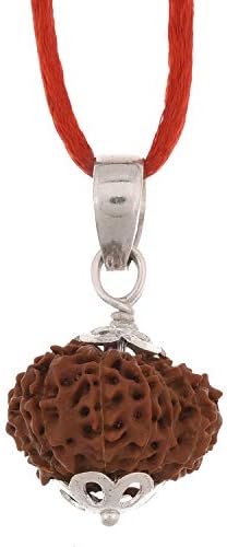 Amorfos Enterprises Wooden 12 Mukhi Rudraksha Pendant with Silver Coated Capping for Men and Women -10-15 mm