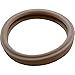 Pentair 79108500 Replacement Lens Gasket for SpaBrite And AquaLight Pool and Spa Lights