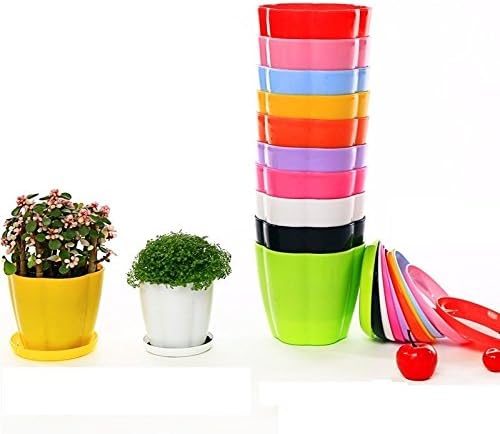 Gift Pro Thicken Colorful Circular Plastic Plant Pot, Planter, Flower Pot with Pallet Tray Saucer for Decoration of Home Office Desk Garden Flower Shop (11cm9cm, 5 Pcs)