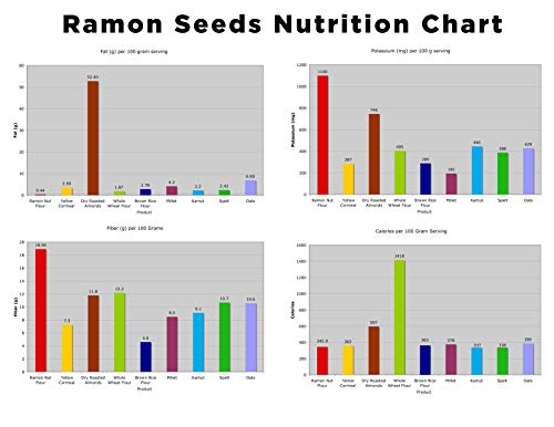 Worldwide Botanicals Organic Ramón Seeds, AKA Capomo, Maya Nut, Ojoche, Masica. Dark Roast, All-Purpose Filter Grind, Caffeine Free, Acid Free, 1 lb. (454g)