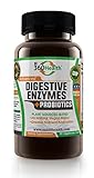 Oz360 Health Natural Gluten Free Digestive Enzymes with Probiotics - 90 Vegetarian Capsules