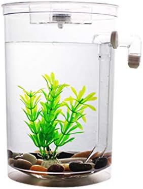 Ronghai Self Cleaning Aquarium Mini Fun FISH TANK Kit + Led Light Gravity Clean