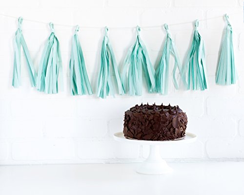 My Mind's Eye Paperlove Party Tassel Banner