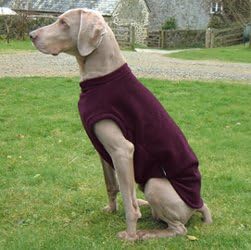 equafleece dachshund