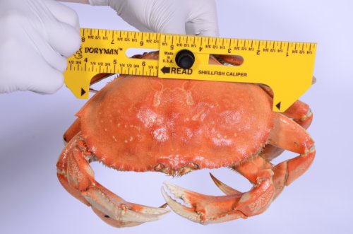 Doryman-Shellfish-Caliper–Floating-Ruler–365-Inch-Yellow Doryman-Shellfish-Caliper–Floating-Ruler–365-Inch-Yellow