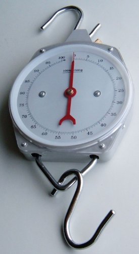 Robuste Hängewaage Zugwaage Fischwaage 100Kg/500g Step