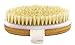 Hand Size Dry Brushing Body Brush - Face, Foot, Leg Exfoliator - Skin Tightening Cellulite Massager for Thighs - Natural Bristle Scrubber for Exfoliating Dead Skin & Lymphatic Drainage