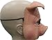 Pig Mask of High Quality, Funny Terrific Halloween& Party Mask