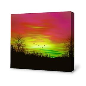 SIGNFORD Canvas Wall Art for Living Room,Bedroom Home...