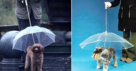amazon dog umbrella