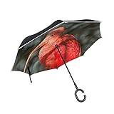 Reverse Umbrella Red Bird Beauty Windproof Double